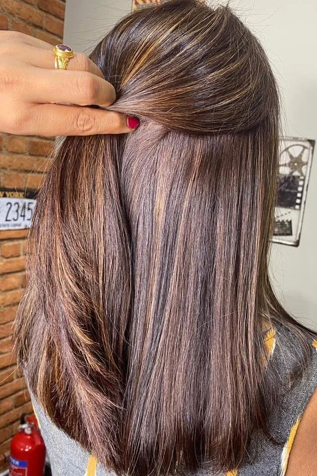 Medium layered hair with chestnut highlights