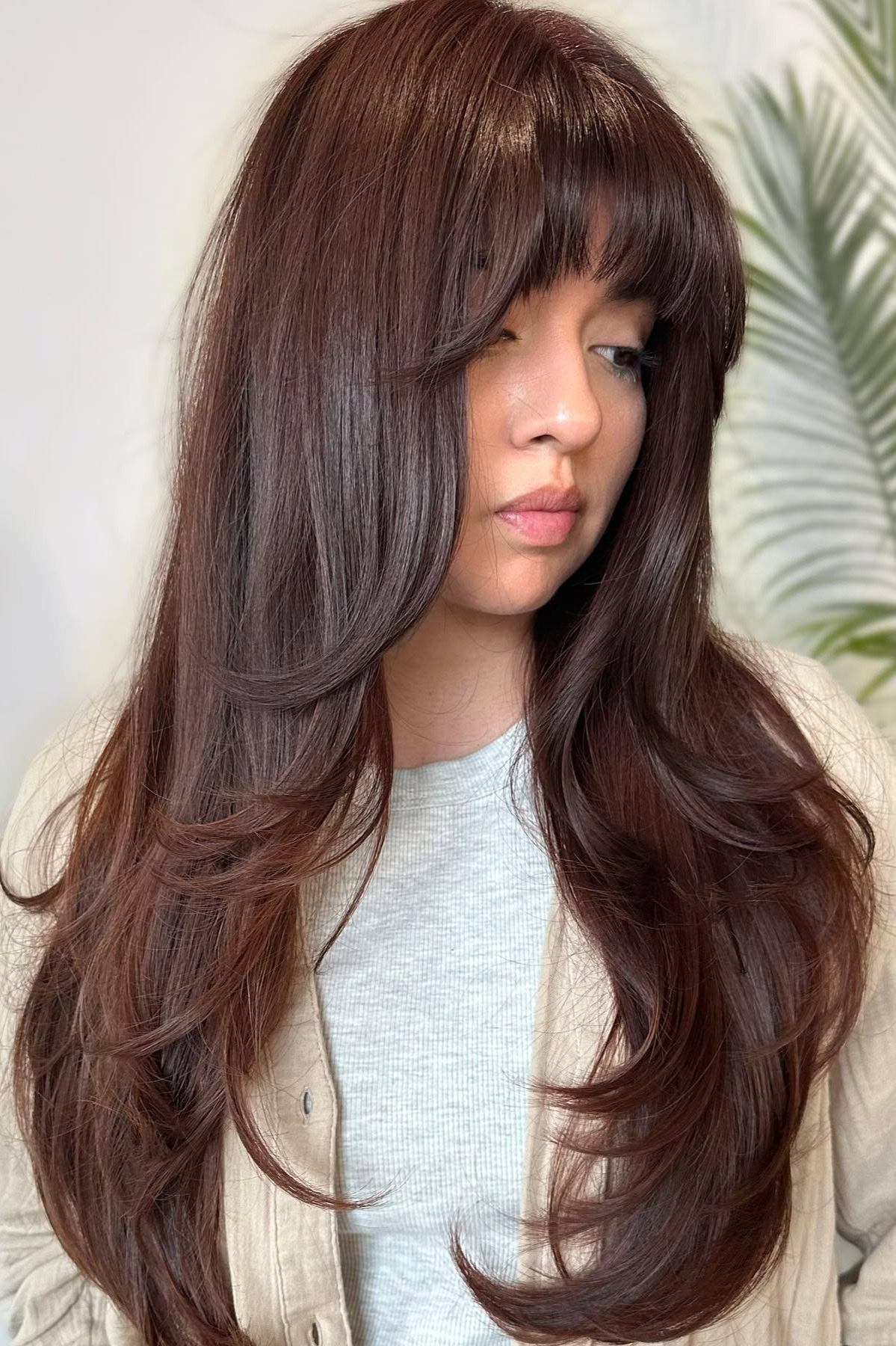 Luxurious chocolate layers with soft volume
