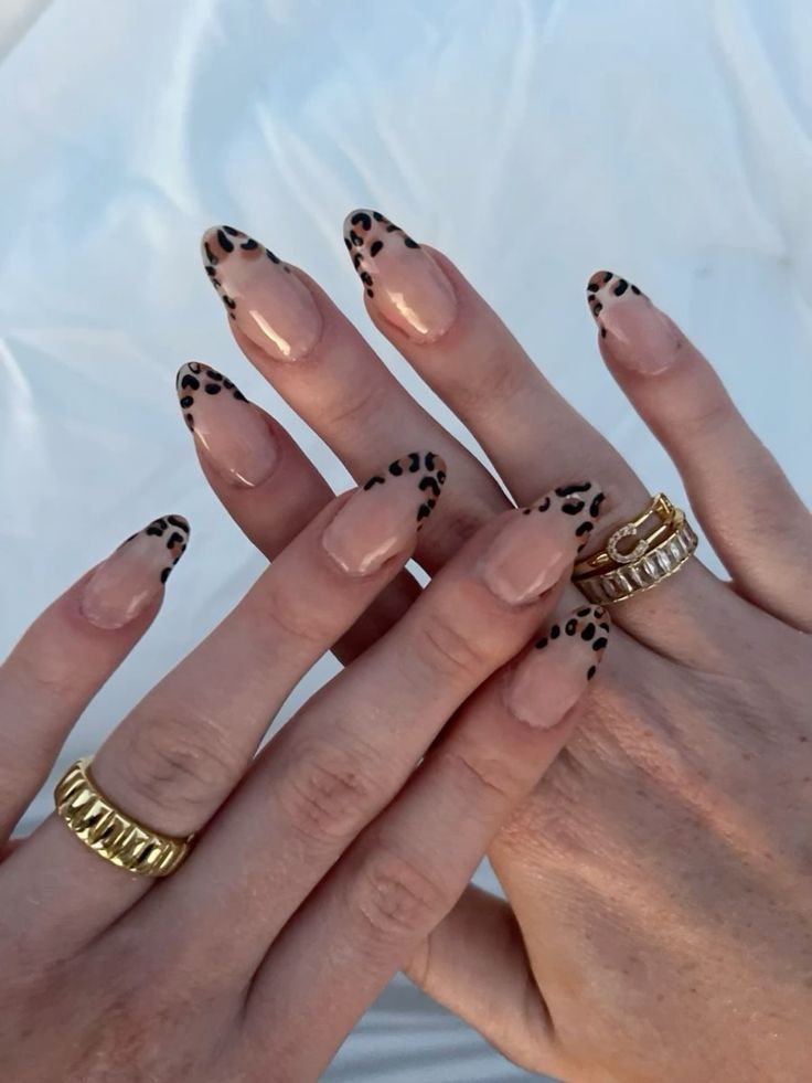 Leopard French tips, elegant nails, Pinterest inspiration
